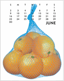 2024 Linnea 5 x 7" Desktop Calendar Artwork From Johanna Riley