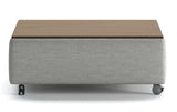 Luonto Functional Coffee Table *Quick Ship*