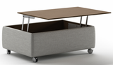 Luonto Functional Coffee Table *Quick Ship*