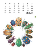 2027 Linnea 11" x 14" Poster Calendar Artwork From Johanna Riley