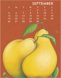 2027 Linnea 11" x 14" Poster Calendar Artwork From Johanna Riley