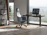BDI Bolo 3531 Office Chair