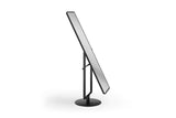 BDI Continuum 3472 Cheval Mirror