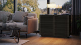 BDI Corridor 8108 2 Door Storage Cabinet *Quick Ship*