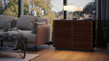 BDI Corridor 8108 2 Door Storage Cabinet *Quick Ship*