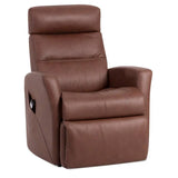 IMG MF325 Divani Lift Recliner with Ottoman