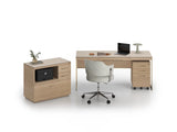 BDI Sequel 6617 Studio Multifunction Cabinet *Quick Ship*