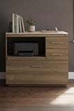BDI Sequel 6617 Studio Multifunction Cabinet *Quick Ship*