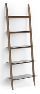 A double-width leaning ladder shelf that makes excellent use of vertical space and features sleek and smokey grey glass shelves that provide ample open storage and display space. 
