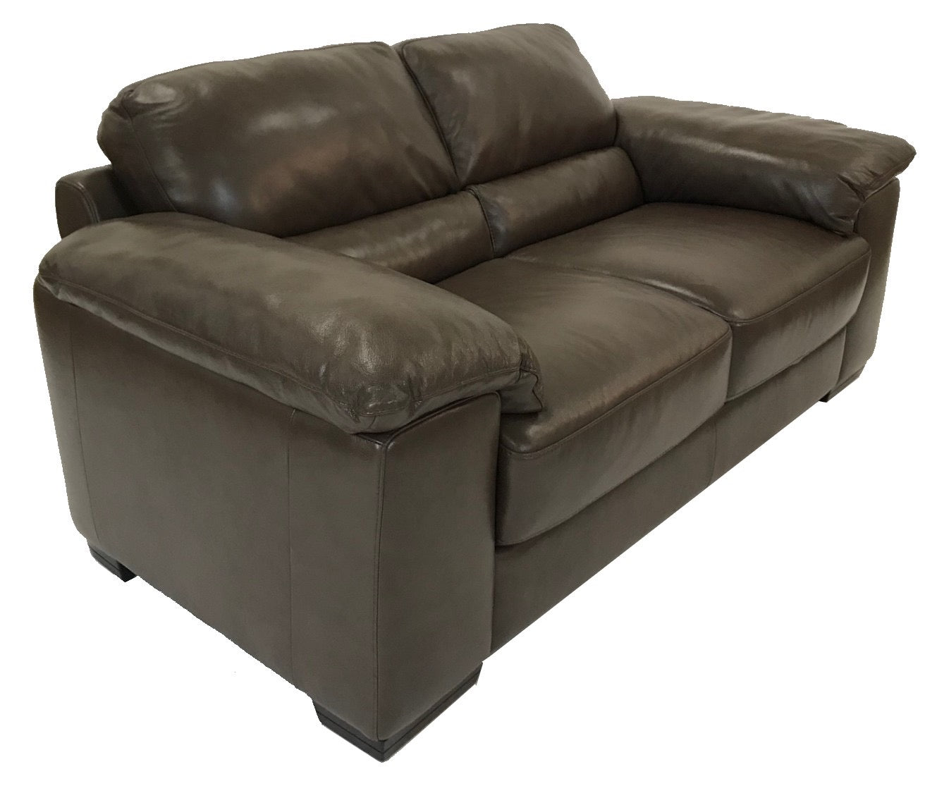 Natuzzi B949 Loveseat | International Design Center