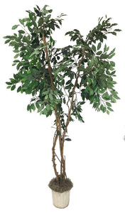 Green 7' Ficus Silk Tree - Artificial