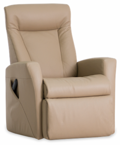Img Prince 201 Lift Recliner with Ottoman