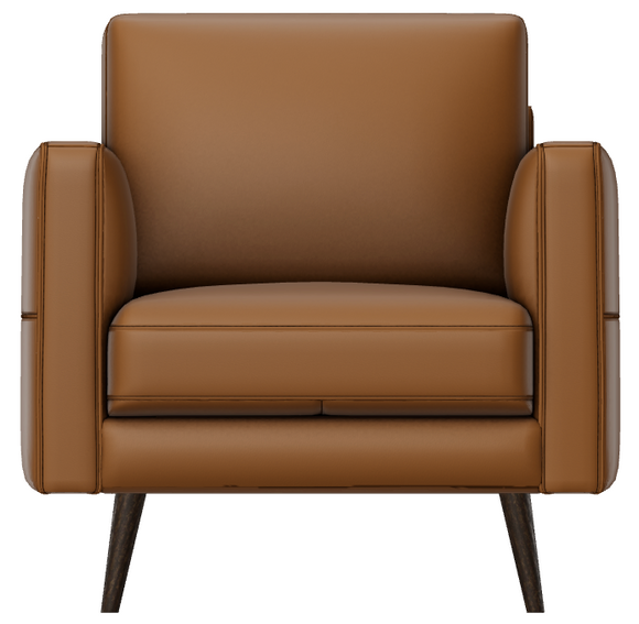 Natuzzi Destrezza C092 Armchair