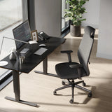 BDI Coda 3521 Office Chair