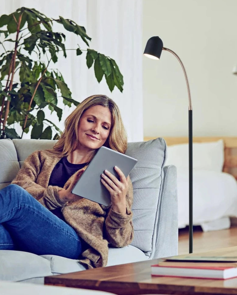 Lite Source Tiara LED Gooseneck Floor Lamp 83322 | International