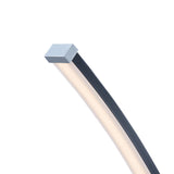 Lite Source Monita LED Arc Floor Lamp 83560